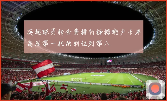 英超球员转会费排行榜揭晓卢卡库高居第一托纳利位列第八