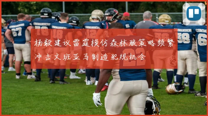 杨毅建议雷霆模仿森林狼策略频繁冲击文班亚马制造犯规机会