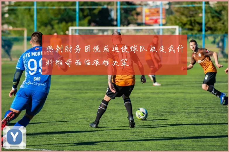 热刺财务困境或迫使球队放走武什科维奇面临艰难决策